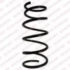 DELPHI SC10065 Coil Spring
